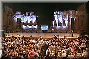 IMG_5237.jpg