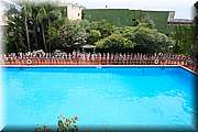 RPC_0790.JPG