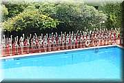 RPC_0801.JPG