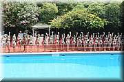 RPC_0805.JPG