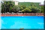RPC_0847.JPG