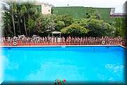 RPC_0848.JPG