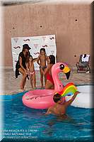 RPC_1682.JPG