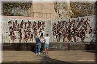 RPC_0097.JPG