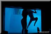 RPC_2850.JPG