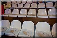 RPC_3411.JPG