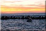 DSC_5796.JPG