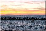 DSC_5797.JPG