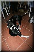 IMG_9196.JPG
