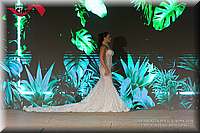 RPC_5429.JPG