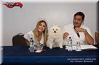 RPC_6059.JPG