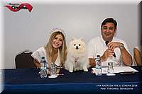 RPC_6060.JPG